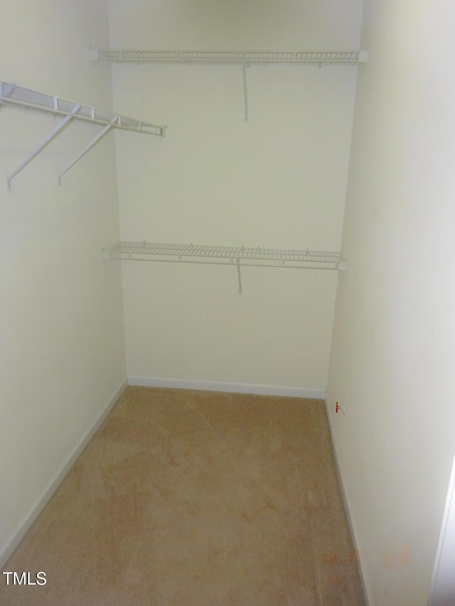 spacious closet featuring light colored carpet