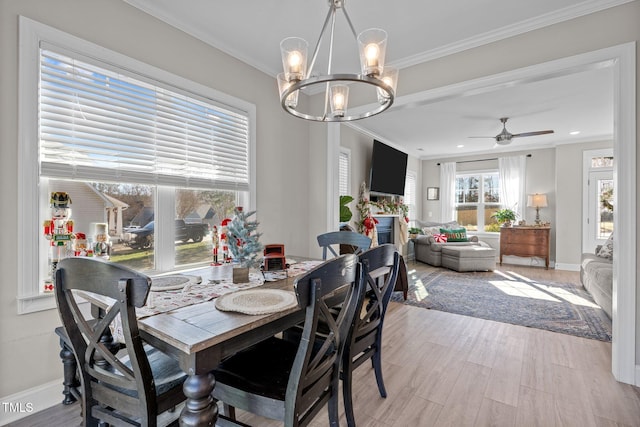 dining room featuring ceiling fan with notable chandelier, ornamental molding, and light hardwood / wood-style flooring