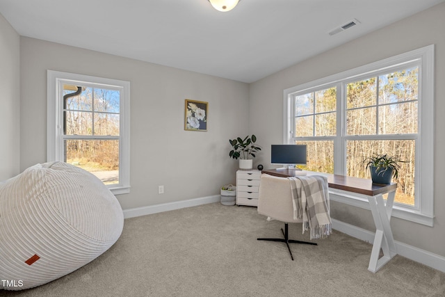 office featuring plenty of natural light and light colored carpet