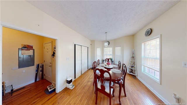 dining space featuring a textured ceiling and light hardwood / wood-style flooring