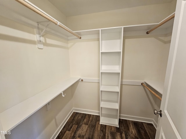 spacious closet featuring dark hardwood / wood-style floors