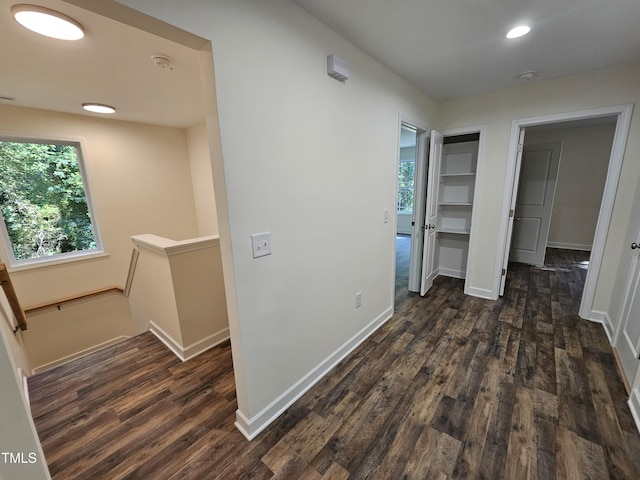 corridor featuring dark hardwood / wood-style flooring