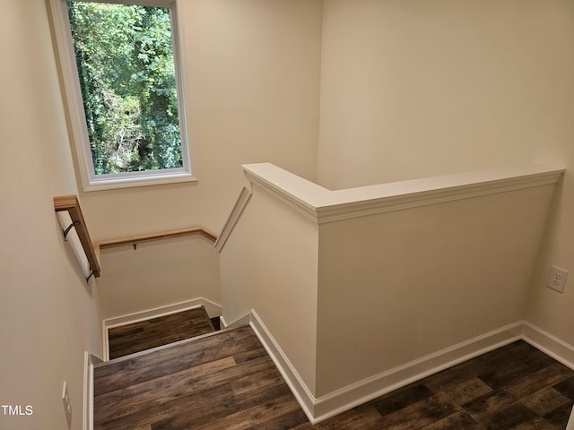 staircase with wood-type flooring