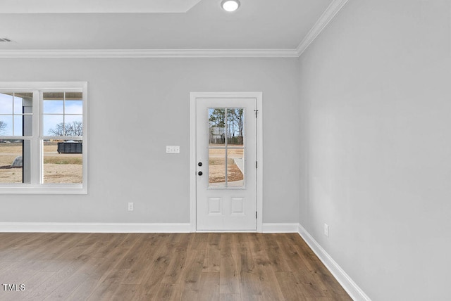 foyer entrance featuring wood-type flooring and crown molding