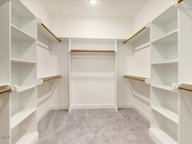 walk in closet featuring light carpet