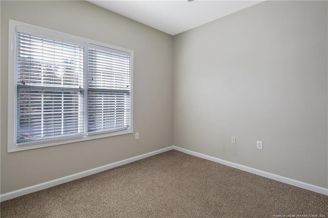 unfurnished room featuring carpet flooring