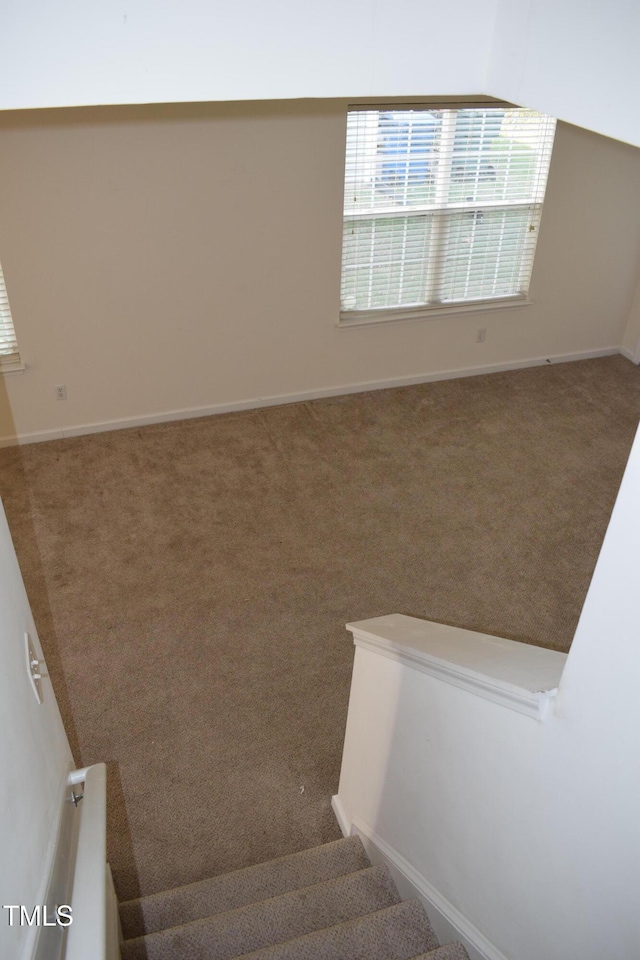 stairway featuring carpet