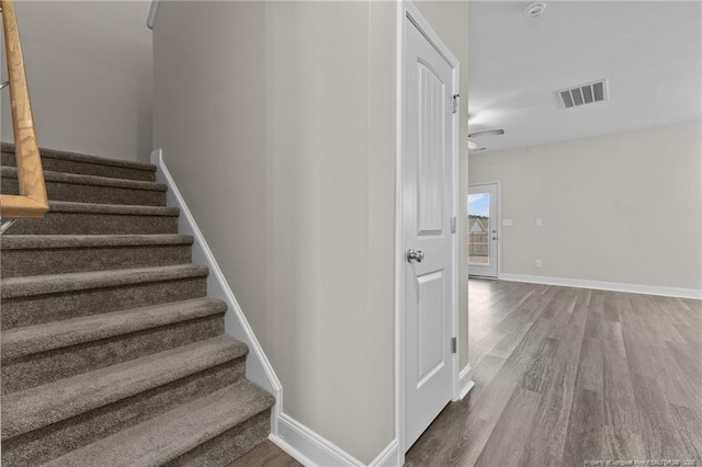 stairway with hardwood / wood-style flooring