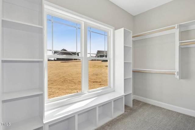 walk in closet featuring carpet flooring