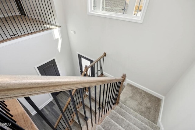 stairs featuring carpet flooring