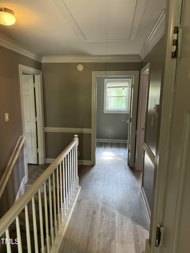 hall featuring hardwood / wood-style flooring and crown molding