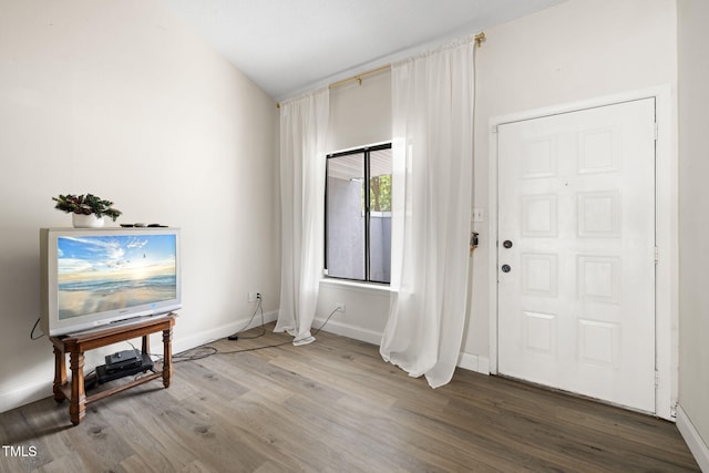 foyer with hardwood / wood-style flooring