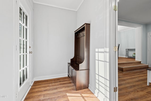 interior space with wood-type flooring and ornamental molding