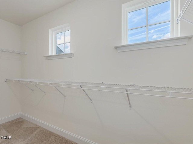 walk in closet featuring light carpet