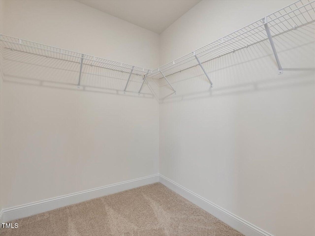 walk in closet with carpet