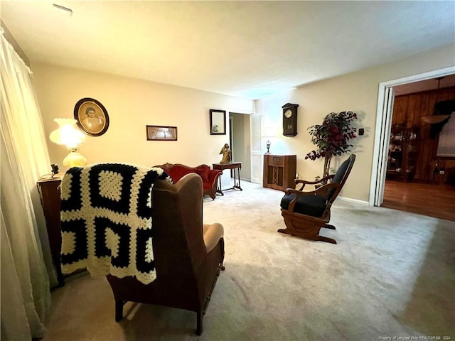 living room featuring light colored carpet