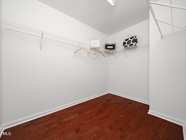 walk in closet featuring hardwood / wood-style flooring