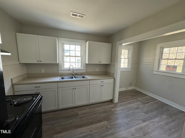 kitchen with white cabinets, plenty of natural light, and sink