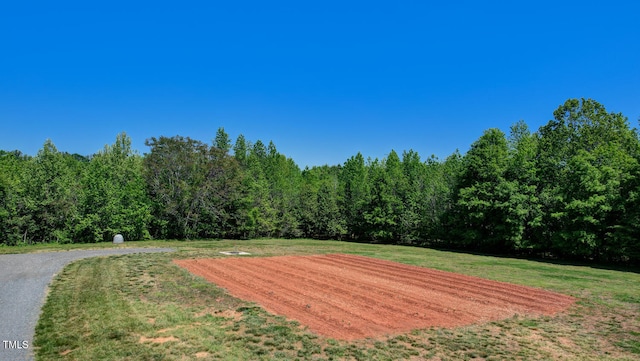 view of community with a yard