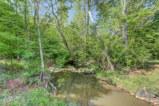 view of local wilderness