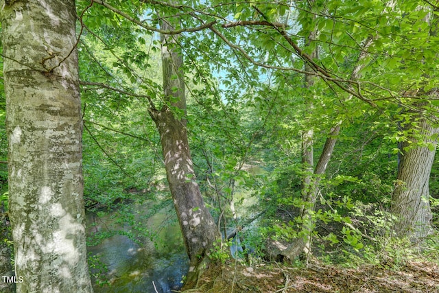 view of landscape