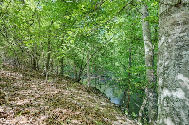 view of local wilderness