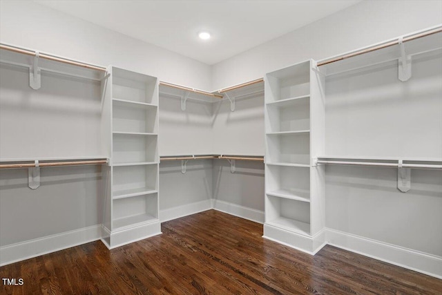 3302.5 Hall Pl, Raleigh, NC 27607 - walk in closet featuring wood finished floors