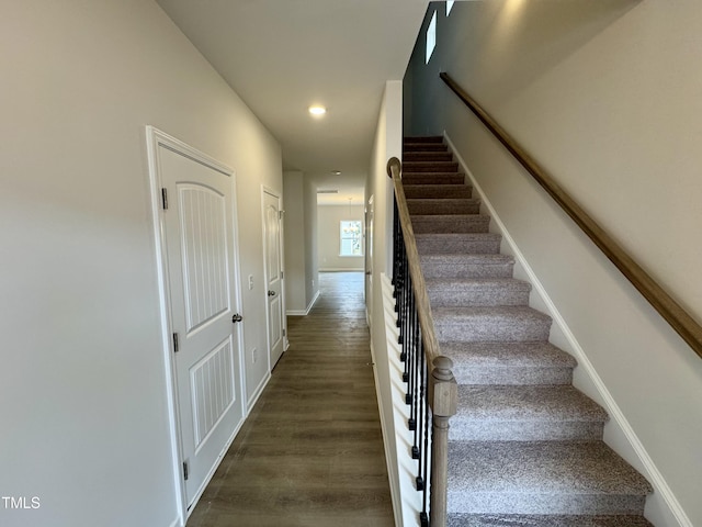 staircase featuring hardwood / wood-style flooring