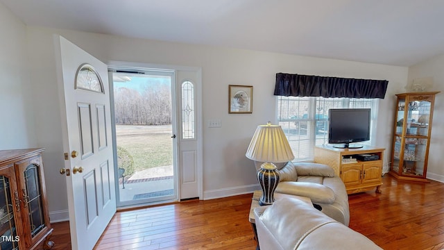 living room featuring hardwood / wood-style flooring and a wealth of natural light