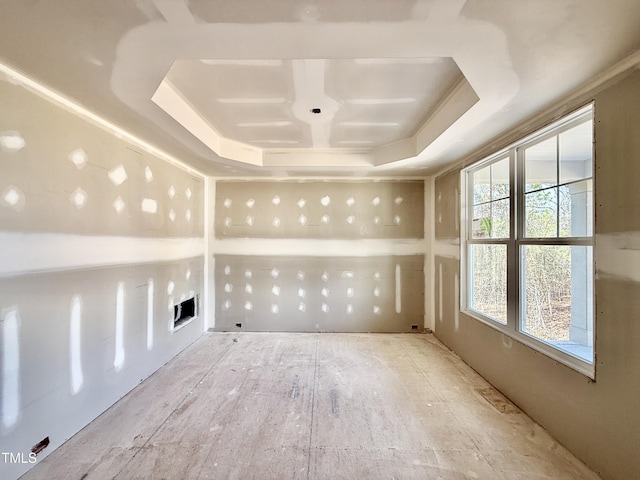 spare room featuring a raised ceiling