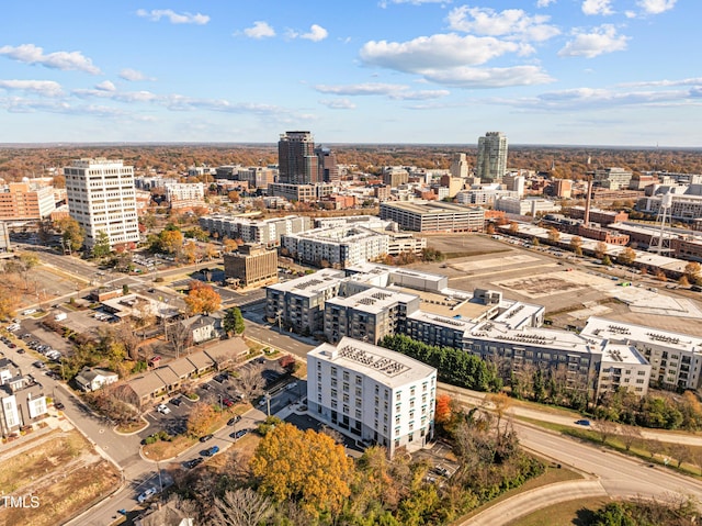 drone / aerial view