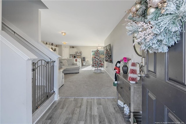 entrance foyer with hardwood / wood-style flooring