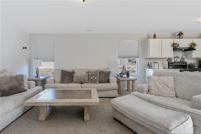 carpeted living room with a healthy amount of sunlight