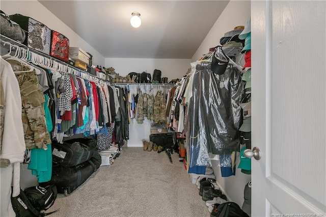 spacious closet featuring carpet