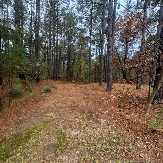 view of landscape with a wooded view