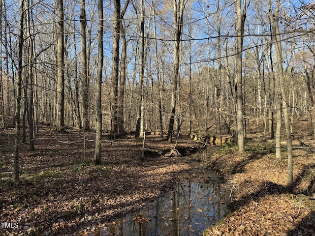 view of local wilderness