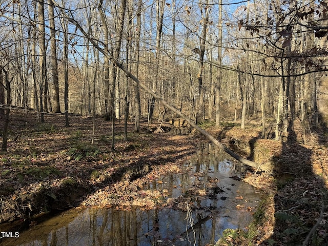 view of local wilderness