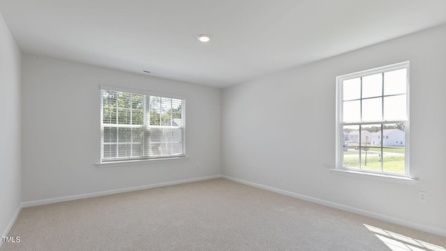 spare room with light colored carpet and a wealth of natural light