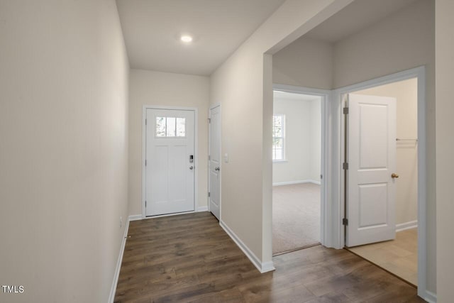 entryway featuring hardwood / wood-style flooring