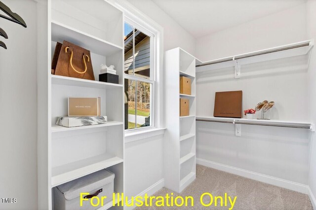 212 Rawhide Dr, Louisburg, NC 27549 - walk in closet featuring carpet flooring