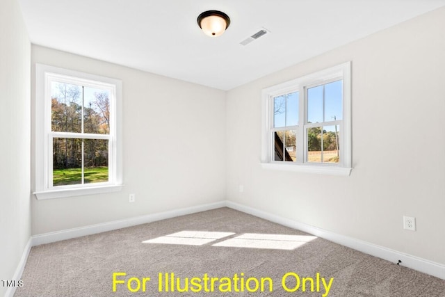 212 Rawhide Dr, Louisburg, NC 27549 - unfurnished room featuring healthy amount of natural light and carpet