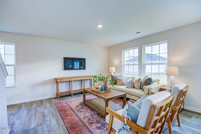 living room featuring hardwood / wood-style flooring