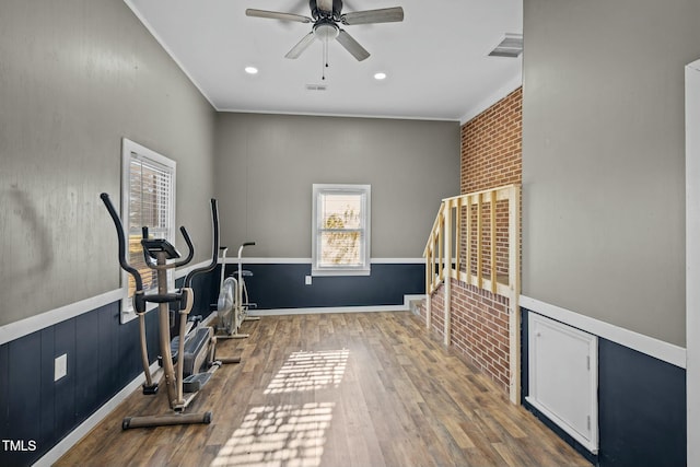 workout room with hardwood / wood-style floors, ceiling fan, and crown molding