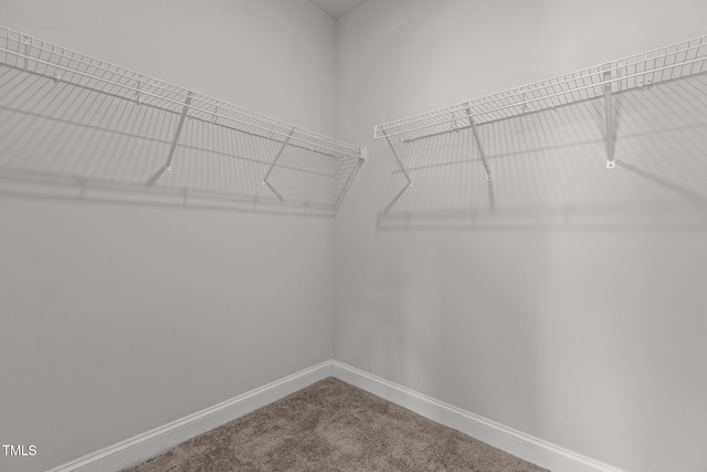 walk in closet with carpet