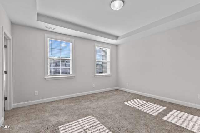 spare room with light colored carpet and a raised ceiling