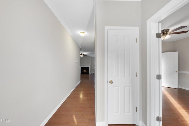 hallway with crown molding and dark wood-type flooring