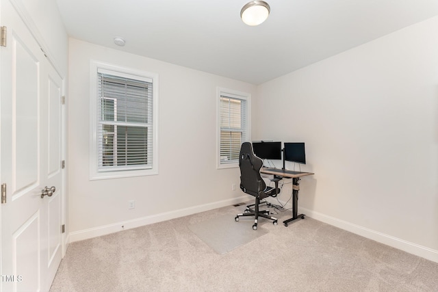 office featuring light carpet