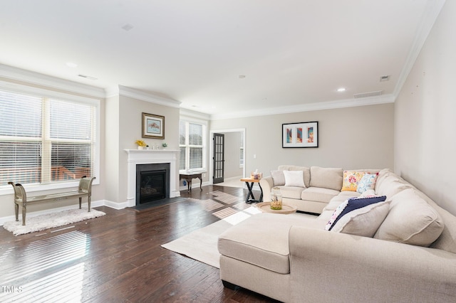 living room featuring crown molding and dark wood-type flooring