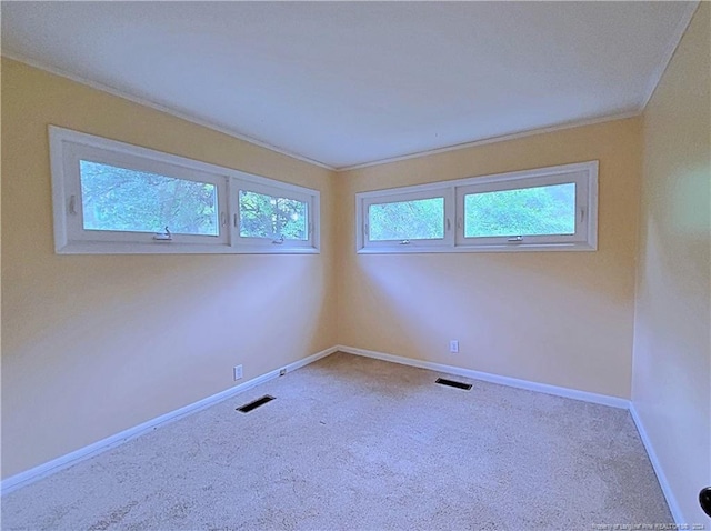 carpeted spare room with a wealth of natural light and ornamental molding