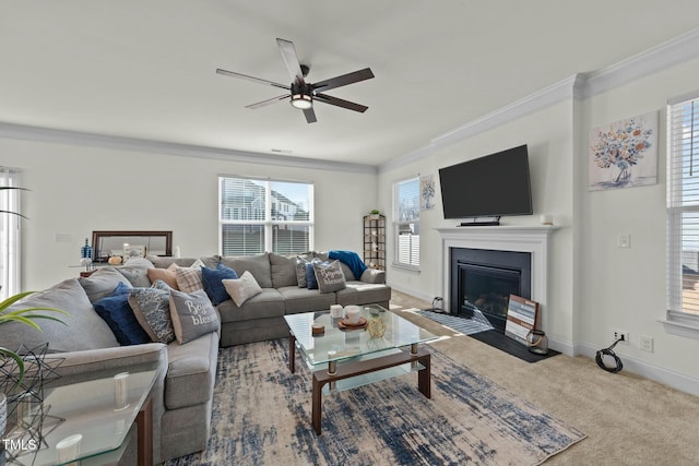 carpeted living room with ceiling fan, a healthy amount of sunlight, and ornamental molding